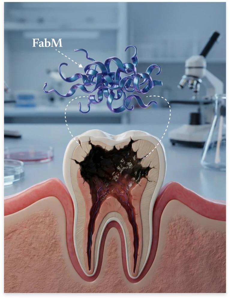 FabM enzyme and tooth decay illustration